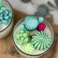 Succulent Cacti Candle with Glass Terrarium Garden Gift, Cactus Blossom Scent