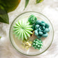 Succulent Cacti Candle with Glass Terrarium Garden Gift, Cactus Blossom Scent