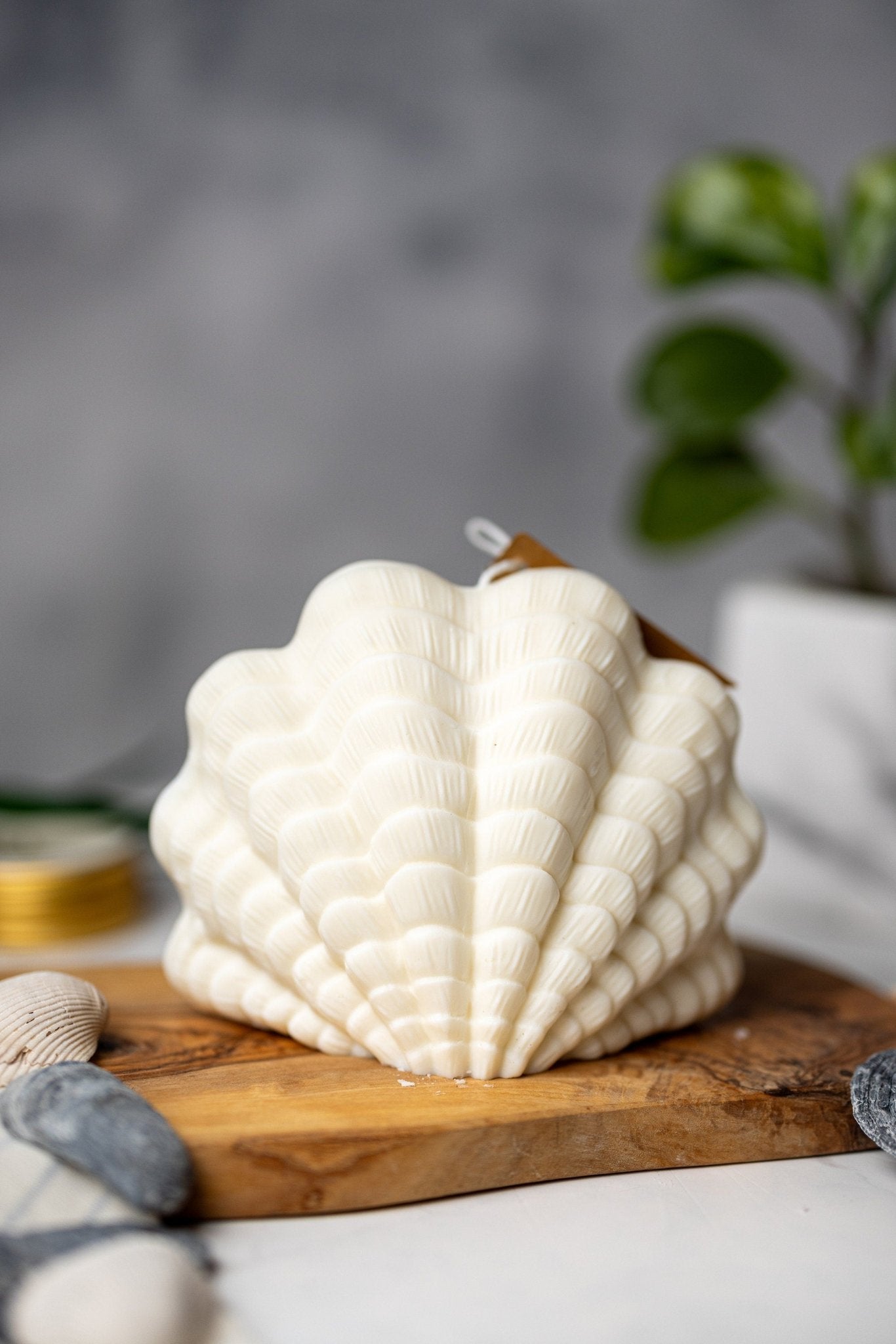Clam Shell Soy Candle - Stylish Pillar Vegan Gift
