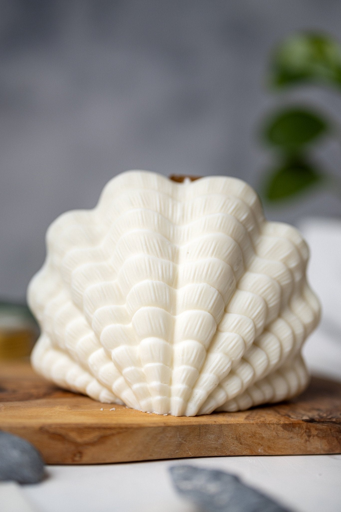 Clam Shell Soy Candle - Stylish Pillar Vegan Gift