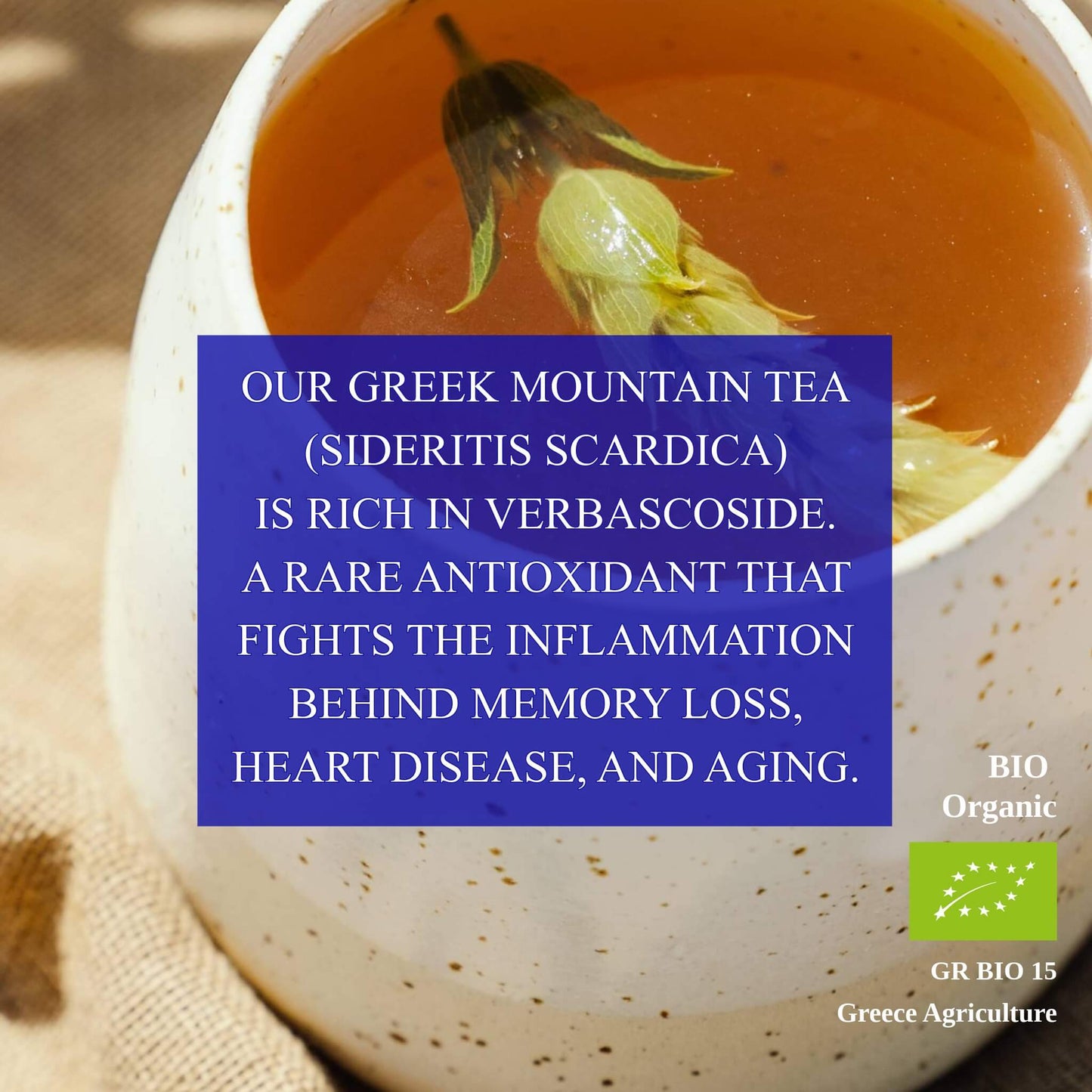 Mountain Tea (Mount Olympus)