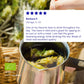 Mountain Tea (Mount Olympus)