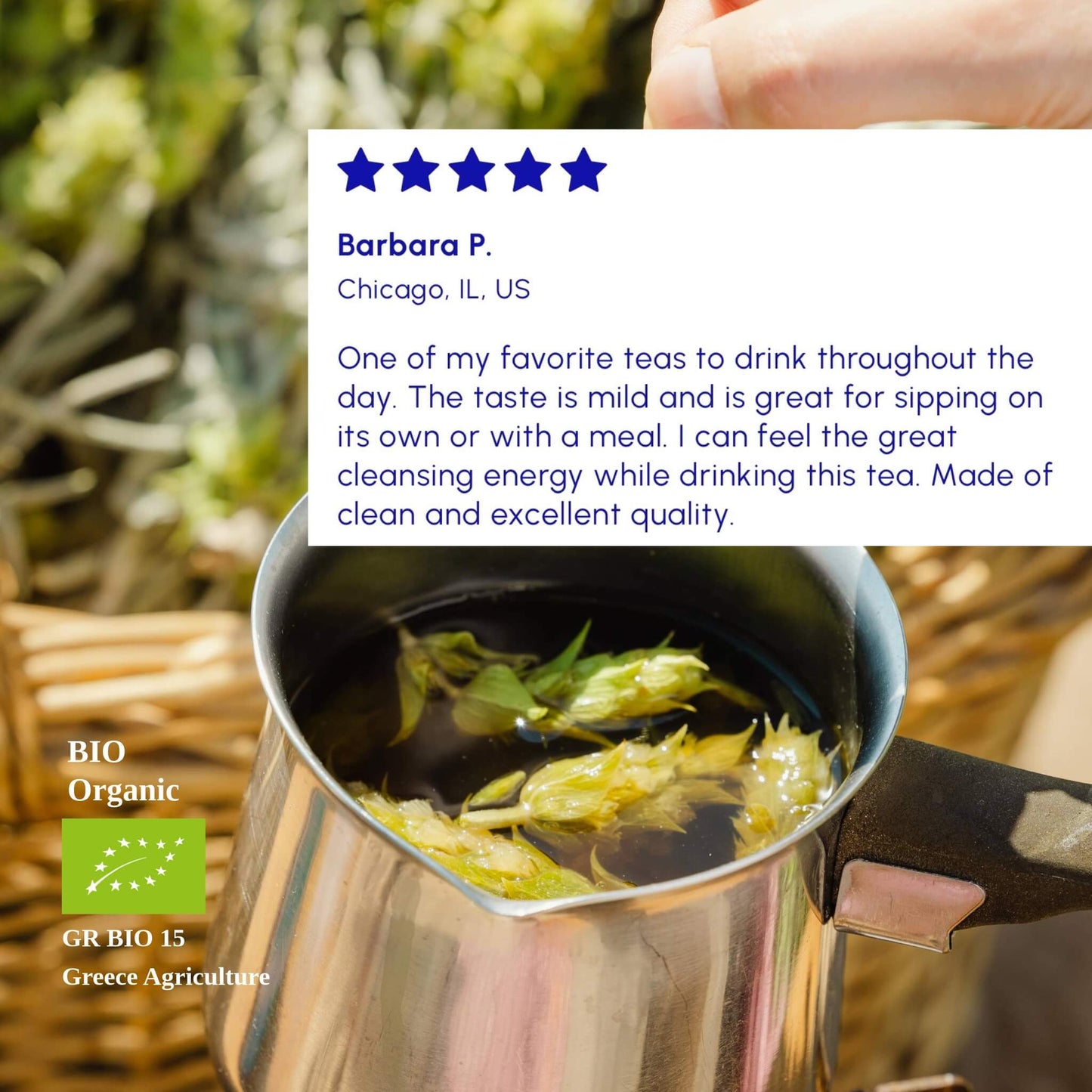 Mountain Tea (Mount Olympus)