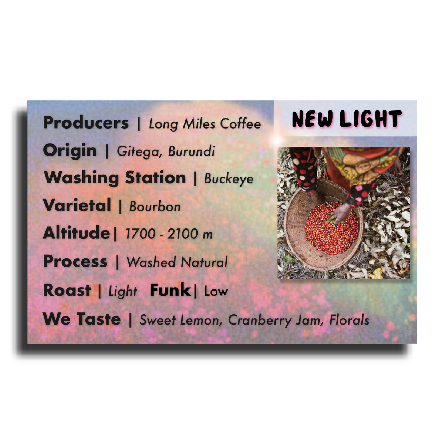 New Light