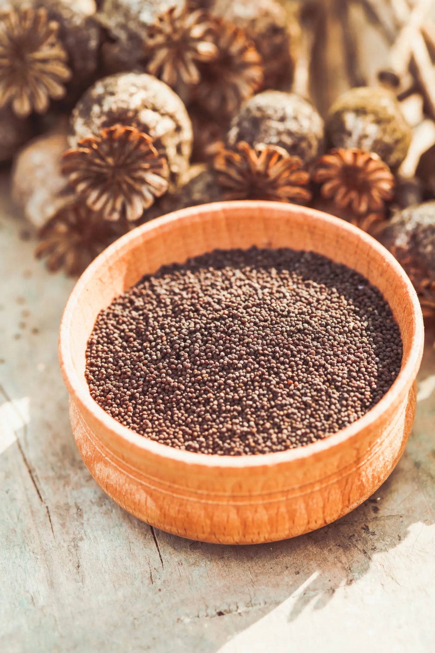 Poppy Seeds, Certified Organic - 8 oz