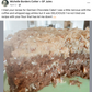 gfJules All Purpose Gluten Free Flour