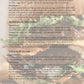 Smoky Blended Salt: BURGER BUDDY
