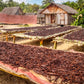 Costa Rica Vanilla Beans - Whole Grade A Hybrid Vanilla Pods for Vanilla Extract and Baking